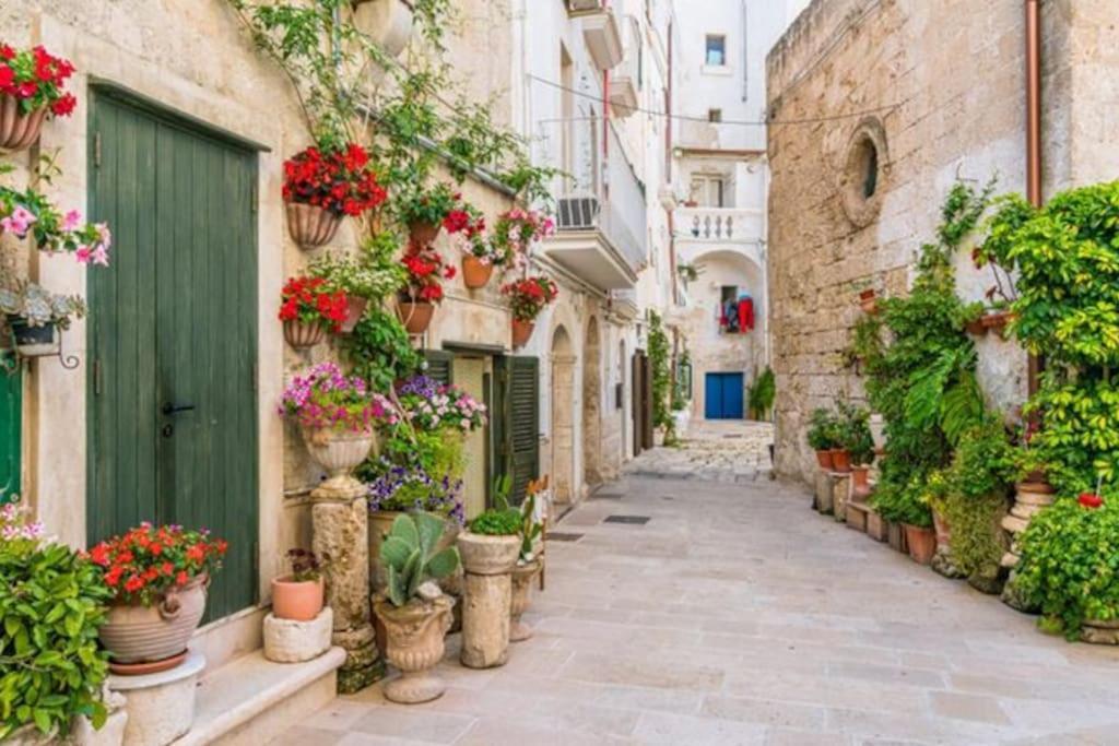 Casa vacanze Il Mare In Città. Vista Mare Monopoli